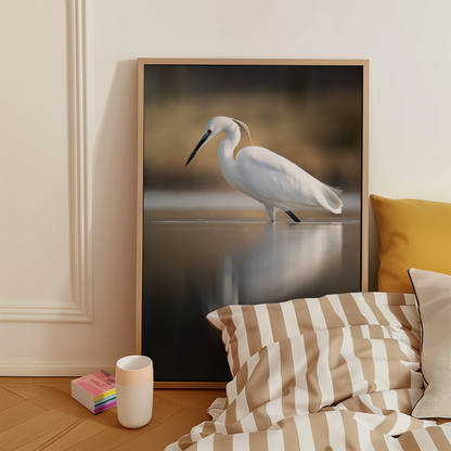 Canvas 'Kleine zilverreiger vangt zijn vis - portret'