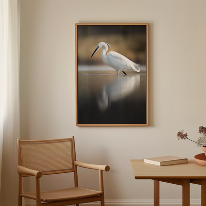 Canvas 'Kleine zilverreiger vangt zijn vis - portret'