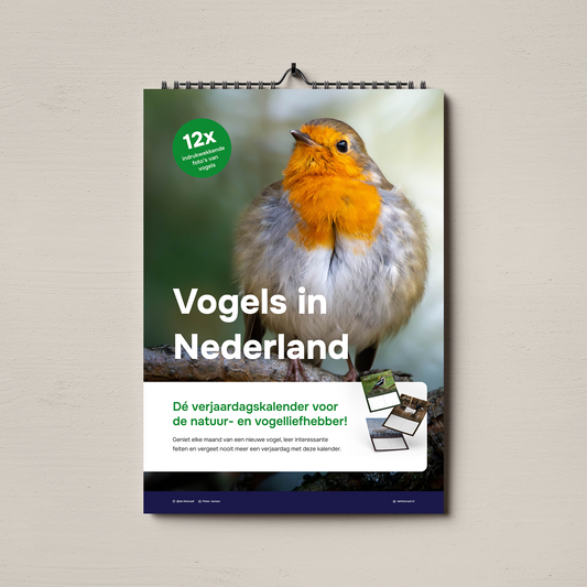 Vogels in Nederland