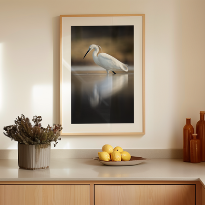 Print 'Kleine zilverreiger vangt zijn vis - portret'