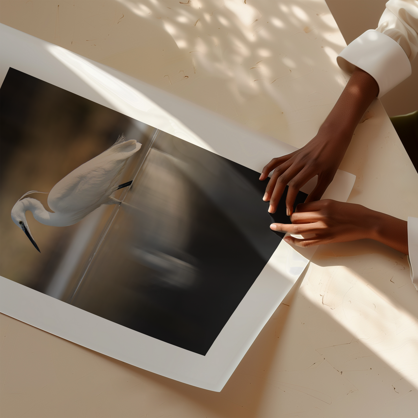 Print 'Kleine zilverreiger vangt zijn vis - portret'