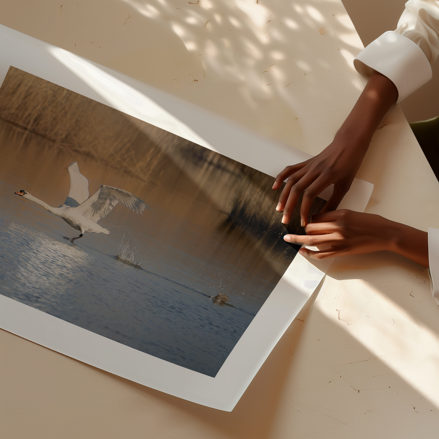 Print 'Opvliegende zwaan'