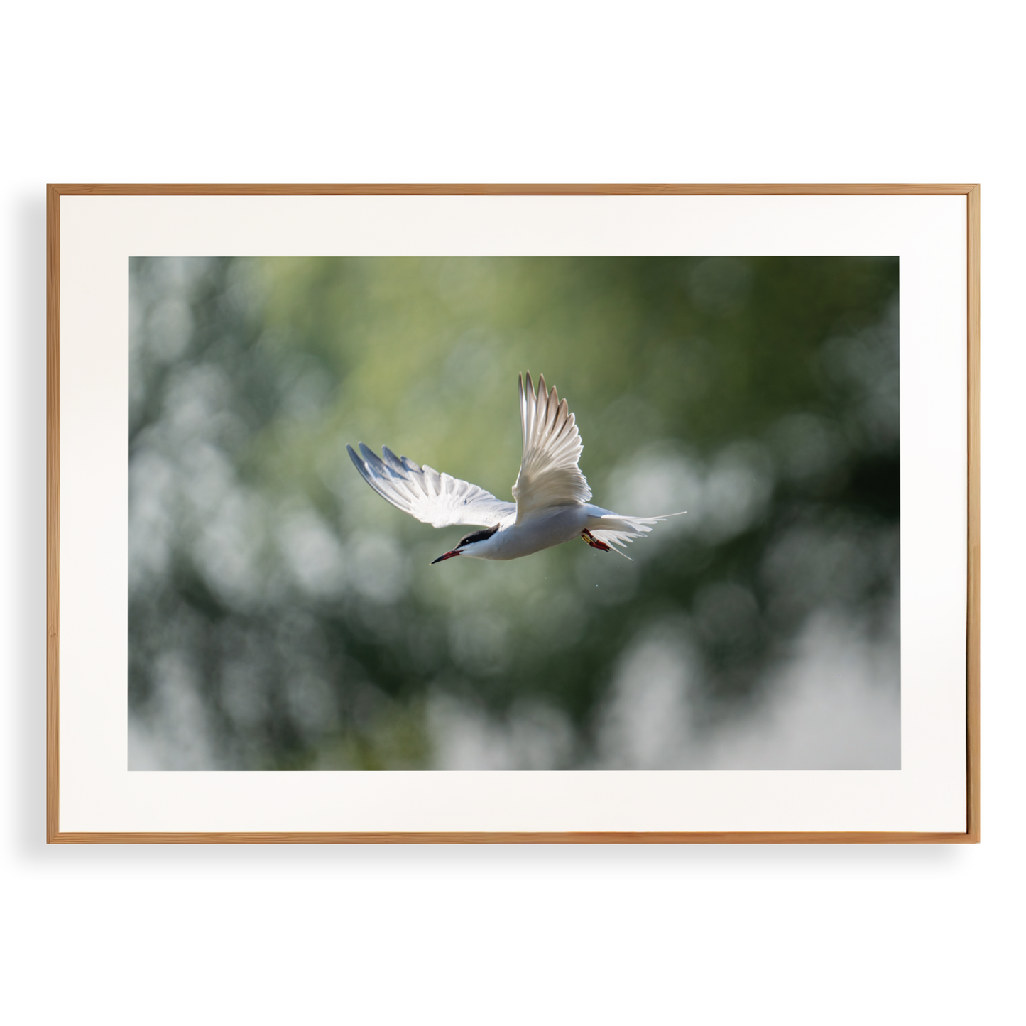 Print 'Duikende visdief'