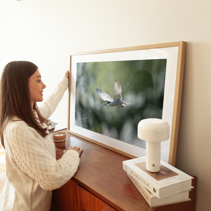 Print 'Duikende visdief'